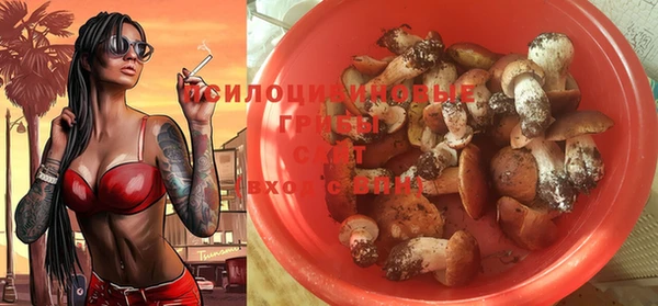 метадон Алзамай