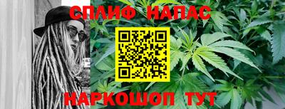 ПСИЛОЦИБИНОВЫЕ ГРИБЫ Дубна