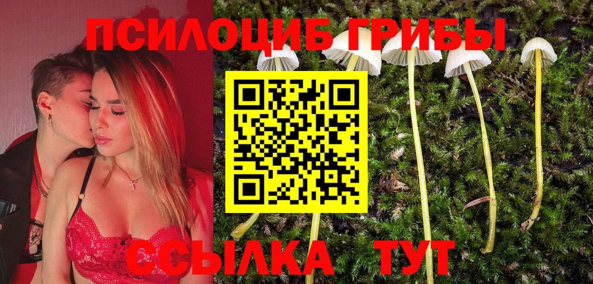 Галлюциногенные грибы Magic Shrooms Ревда
