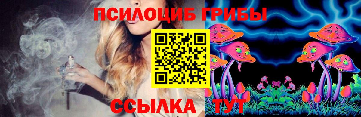 Ревда  Псилоцибиновые грибы Psilocybine cubensis  Вход с VPN 